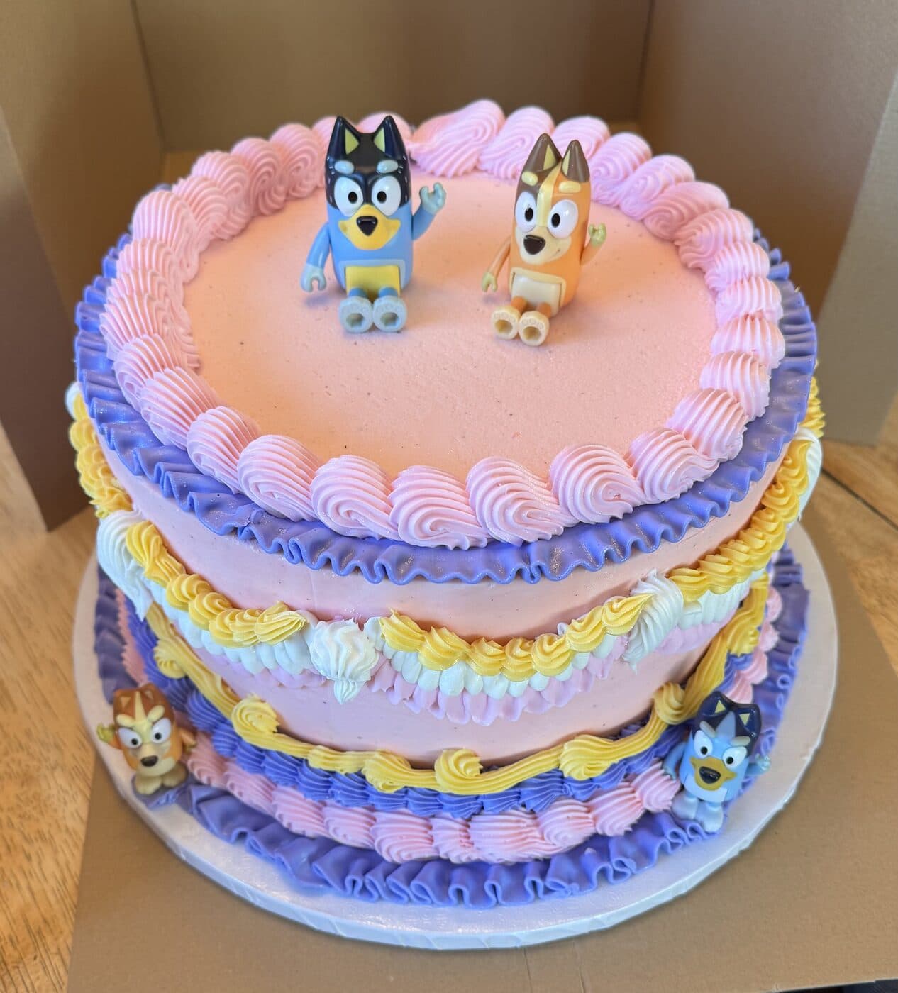 A custom ShannyCakes cake